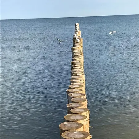 Ive's Gardenia Seaside Апартаменты Дзивнув