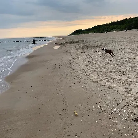 Ive's Gardenia Seaside 아파트 *