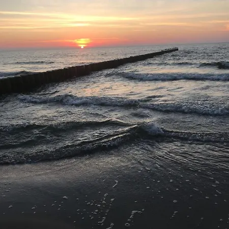 Ive's Gardenia Seaside