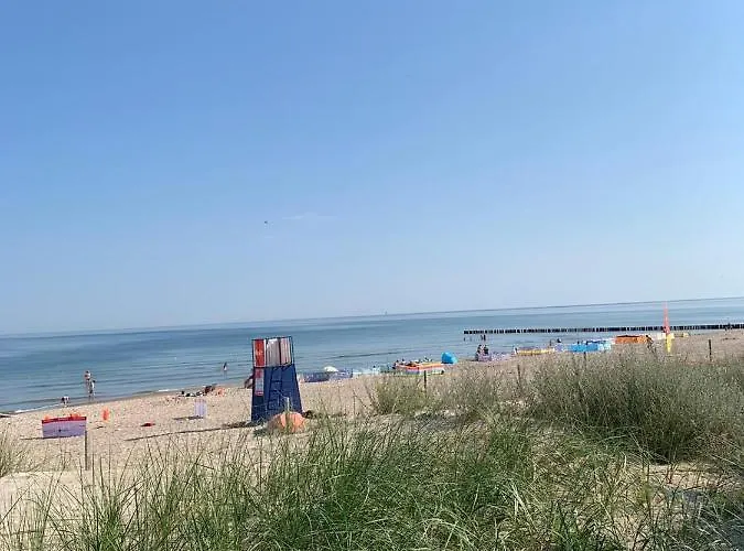 Ive's Gardenia Seaside