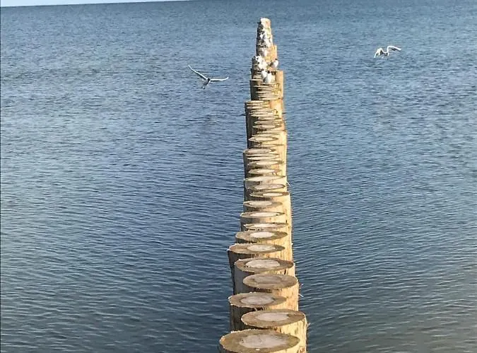 Ive's Gardenia Seaside Apartment Dziwnow