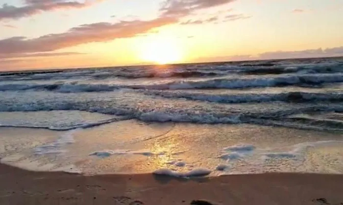 Ive's Gardenia Seaside Apartment