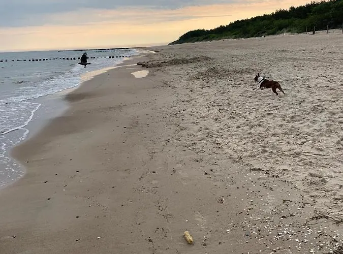 Ive's Gardenia Seaside Apartment *