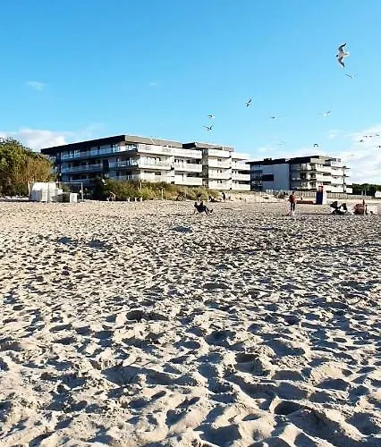 Ive's Gardenia Seaside