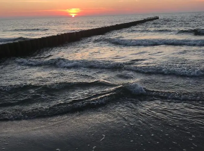 Ive's Gardenia Seaside