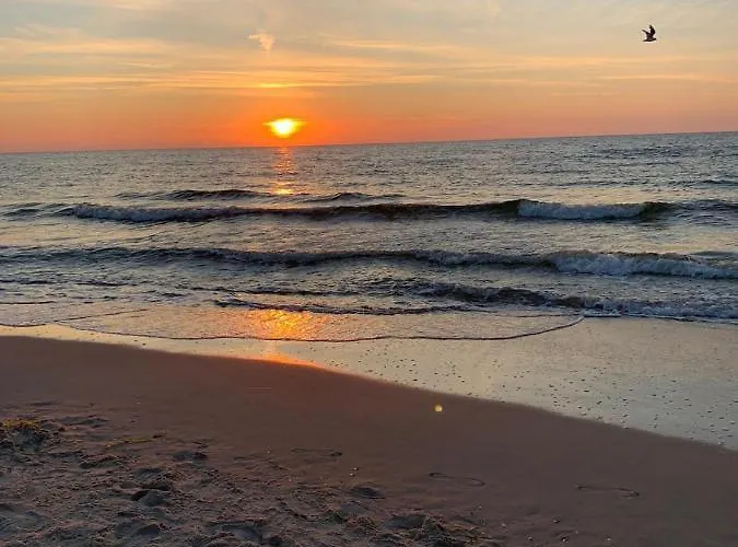 Apartment Ive's Gardenia Seaside Dziwnow